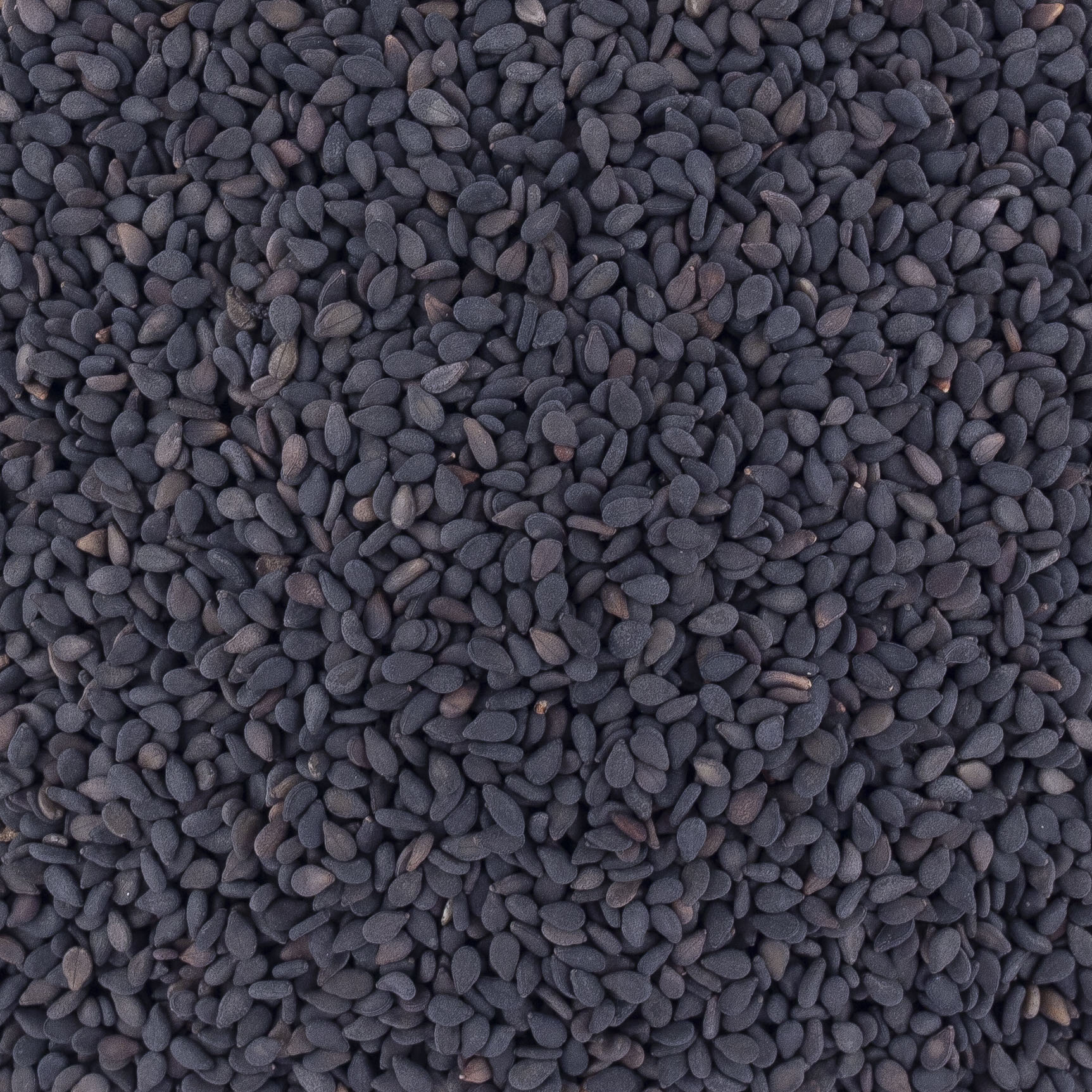 Graine de sésame noir - Achat, utilisation, recettes